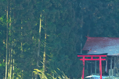 鳥居と祠