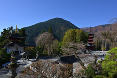 身延山久遠寺２