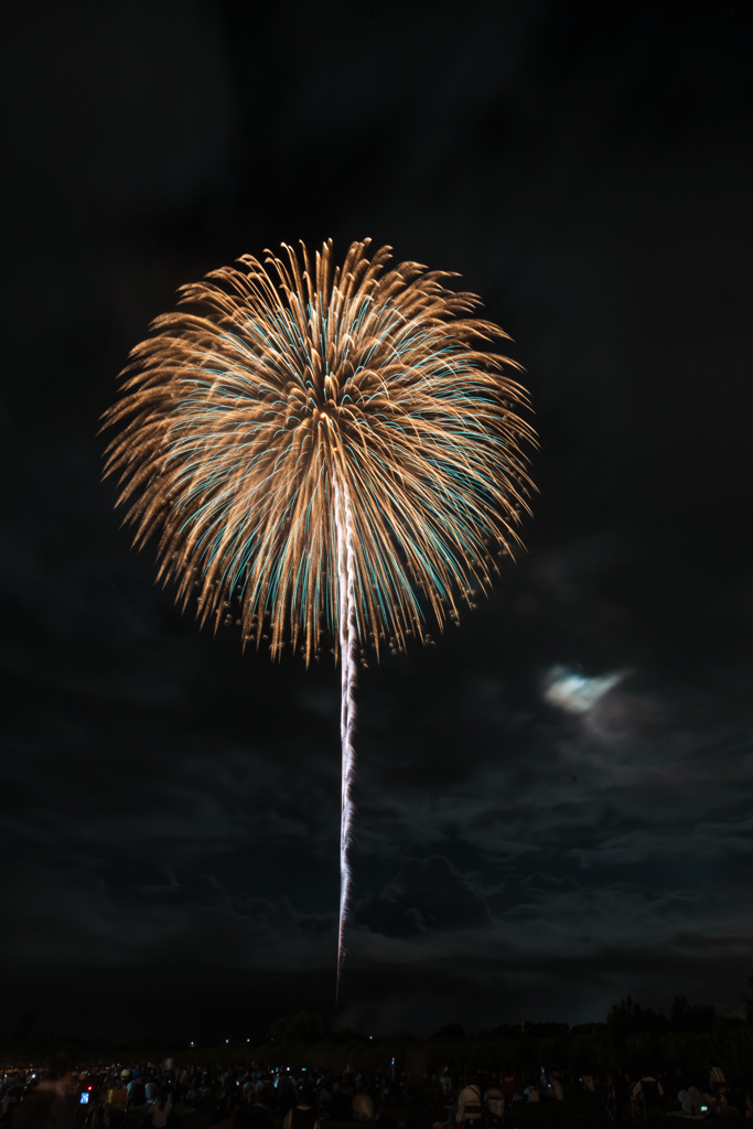 夏の夜に咲く花６７