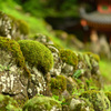 アフロ羅漢