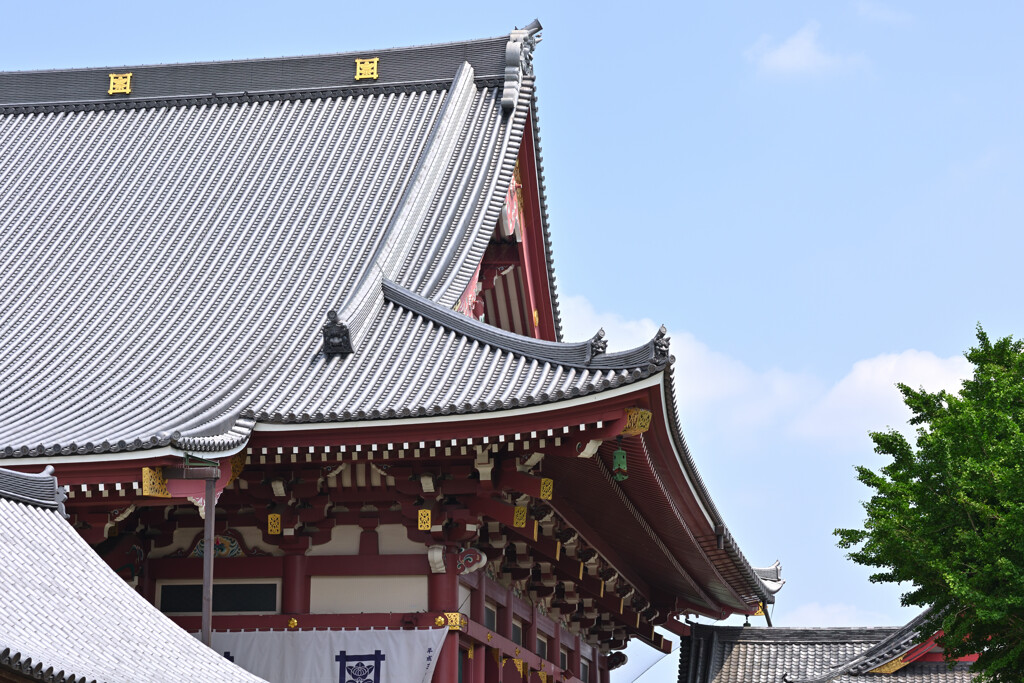 池上本門寺にて４