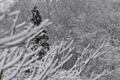 上北地方雪景色-5