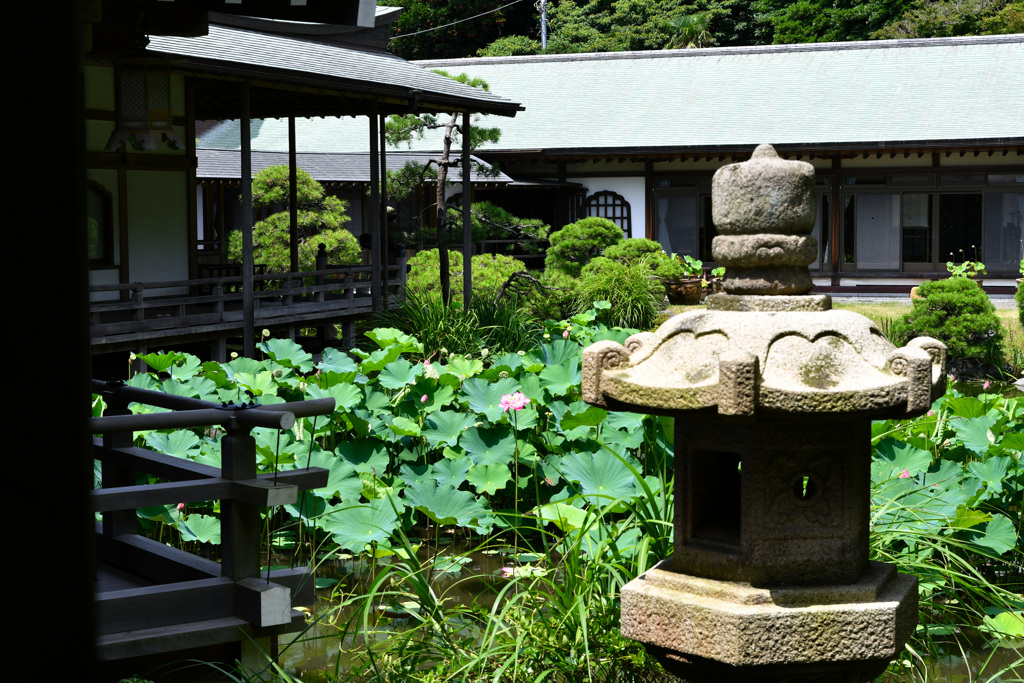 光明寺 記主庭園 