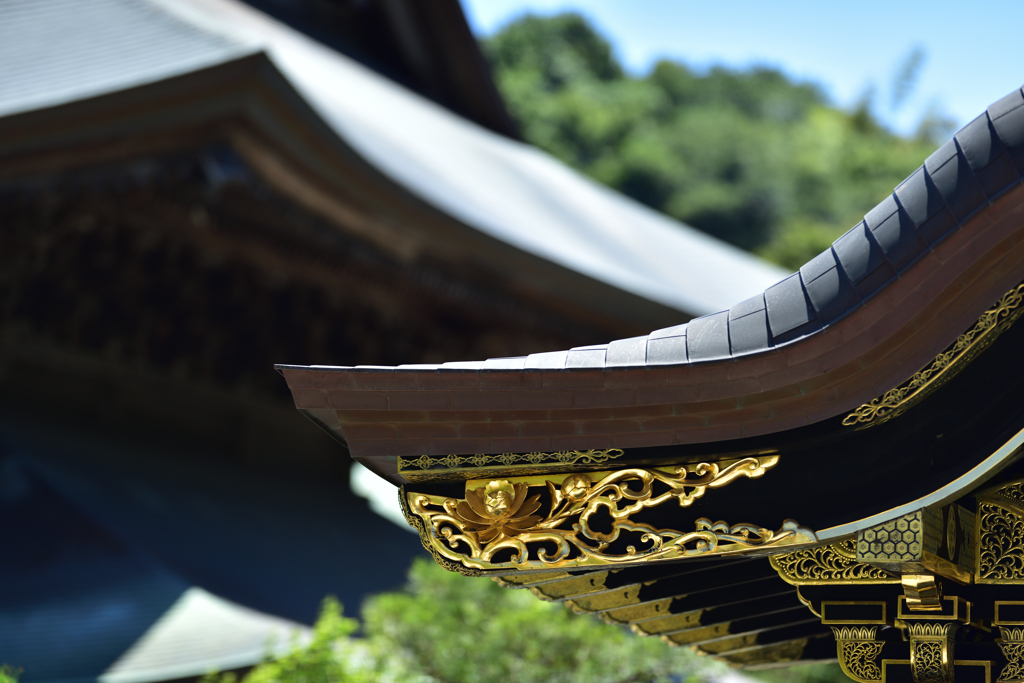 建長寺（唐門と法堂）