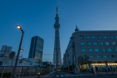 東京スカイツリー夕景