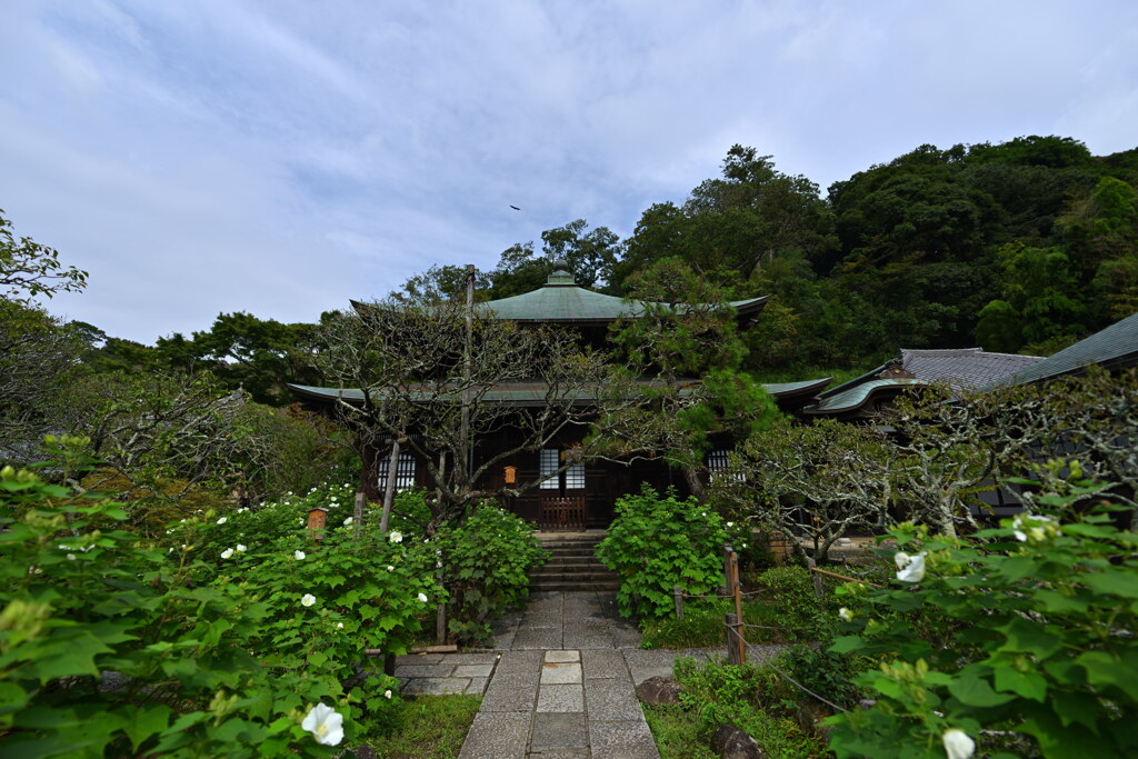 瑞泉寺の本堂2020初秋