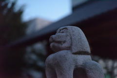 神楽坂赤城神社の狛犬