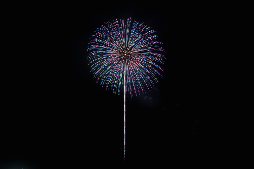 夏の夜に咲く花３０