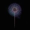 夏の夜に咲く花３０