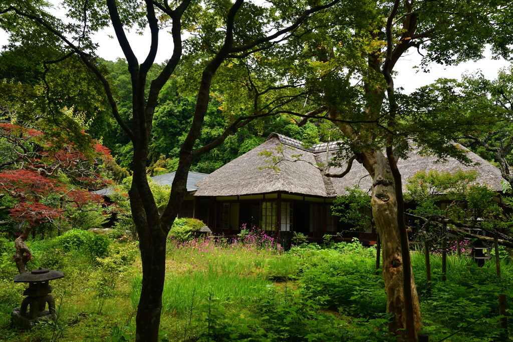 浄智寺（書院）３