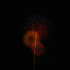 夏の夜に咲く花５０