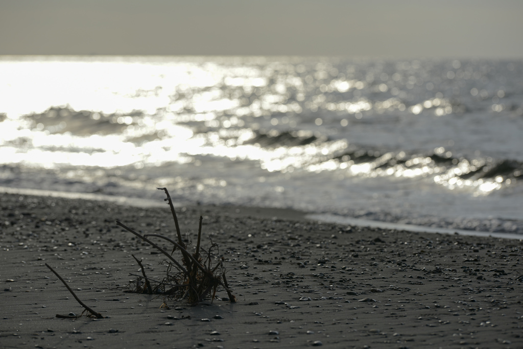 On the Beach