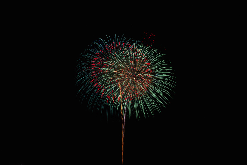 夏の夜に咲く花４９