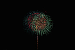 夏の夜に咲く花４９