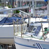 マリーナ・2020夏４