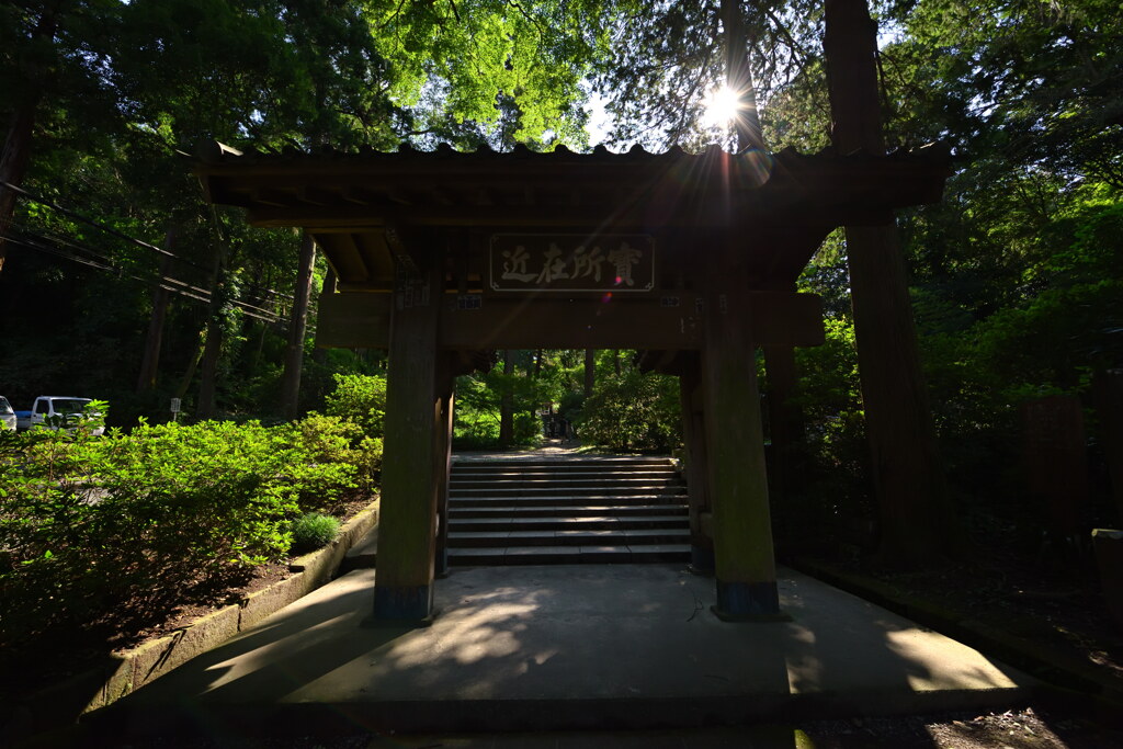 浄智寺2020初秋２