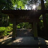 浄智寺2020初秋２