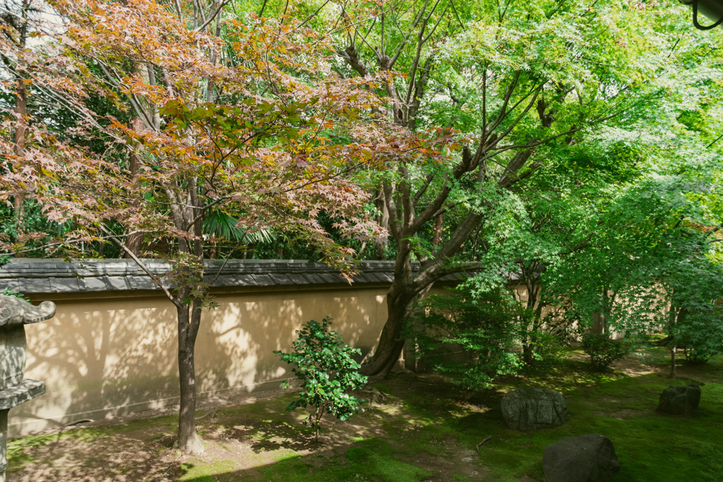 影を愉しむ（大徳寺興臨院西庭）