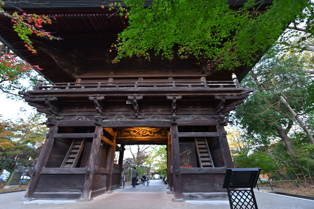 九品仏浄真寺2020晩秋４