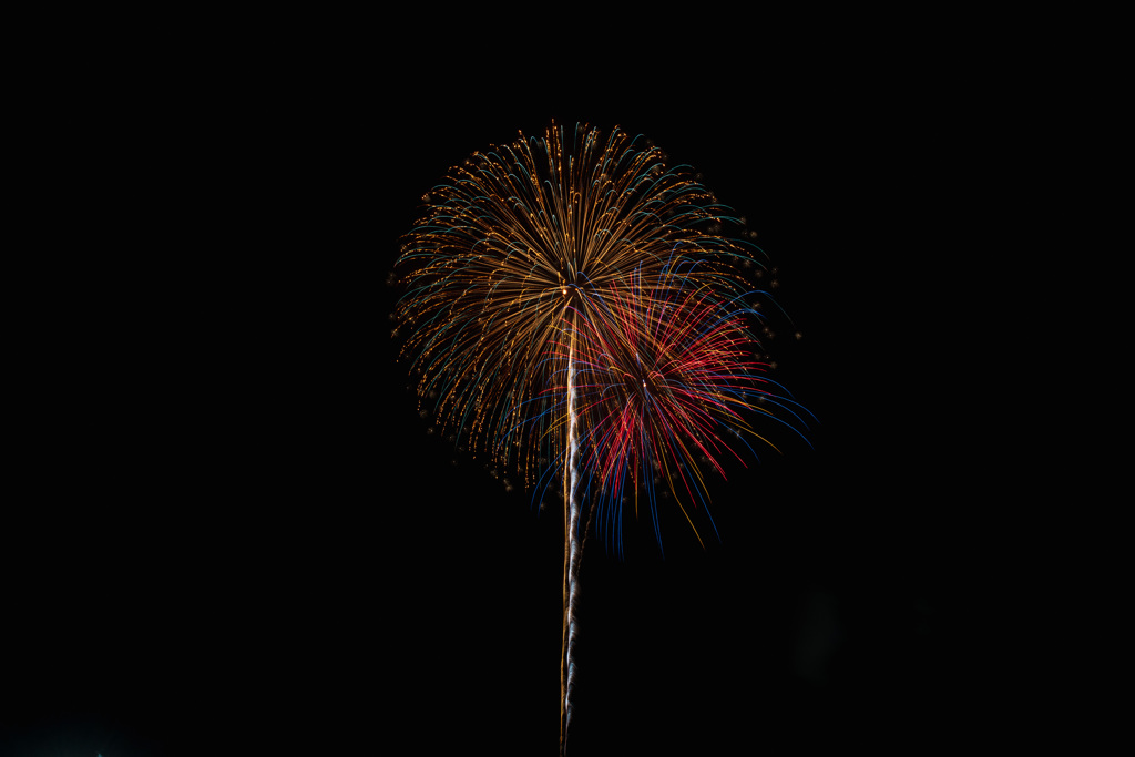 夏の夜に咲く花３４