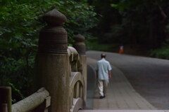 明治神宮（南参道）