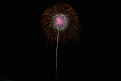 夏の夜に咲く花２４