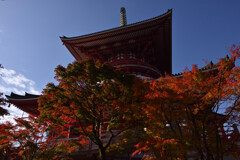 成田山新勝寺（奥の院）４