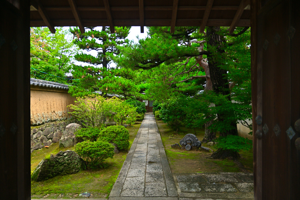 妙心寺塔頭の門