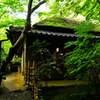 草庵と吉野窓（祇王寺）