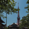 増上寺（2025夏）２