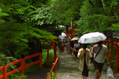 雨の参道石段