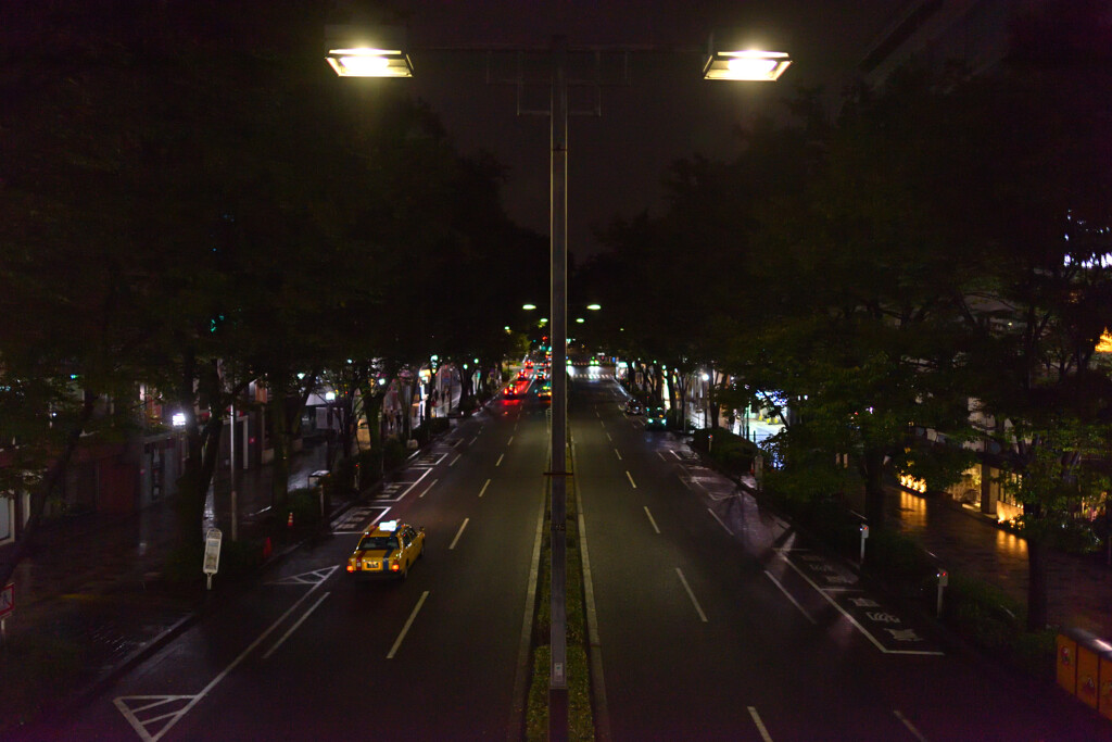 表参道の夜を彷徨う２