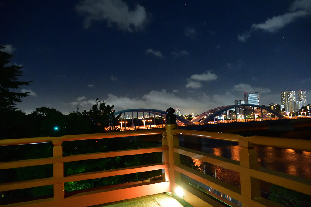 多摩川夜景