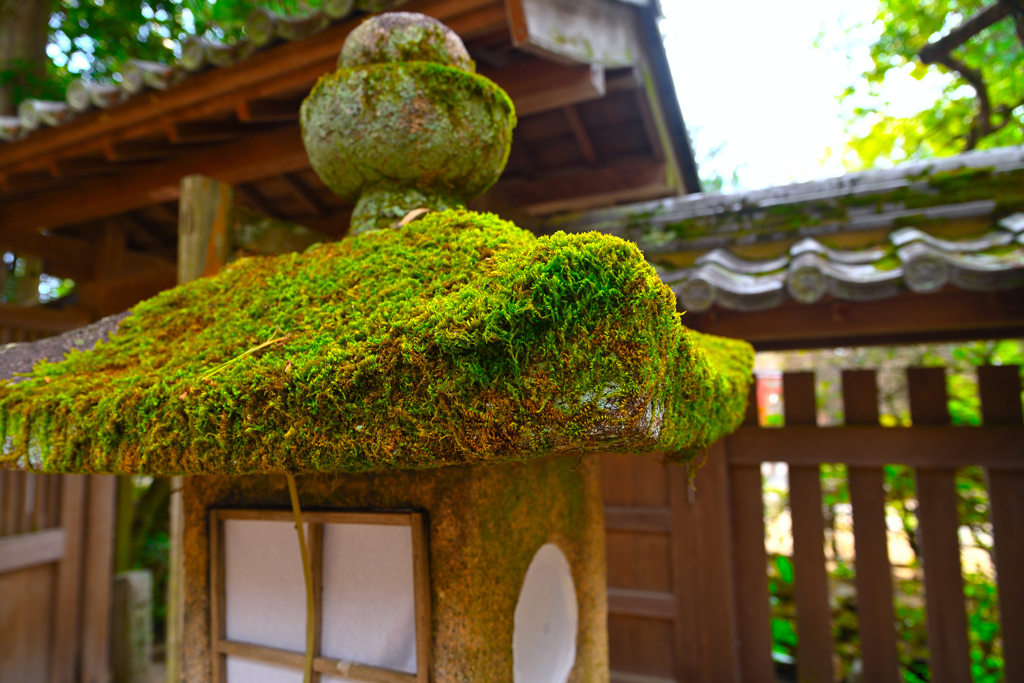 石灯籠（宇治上神社）