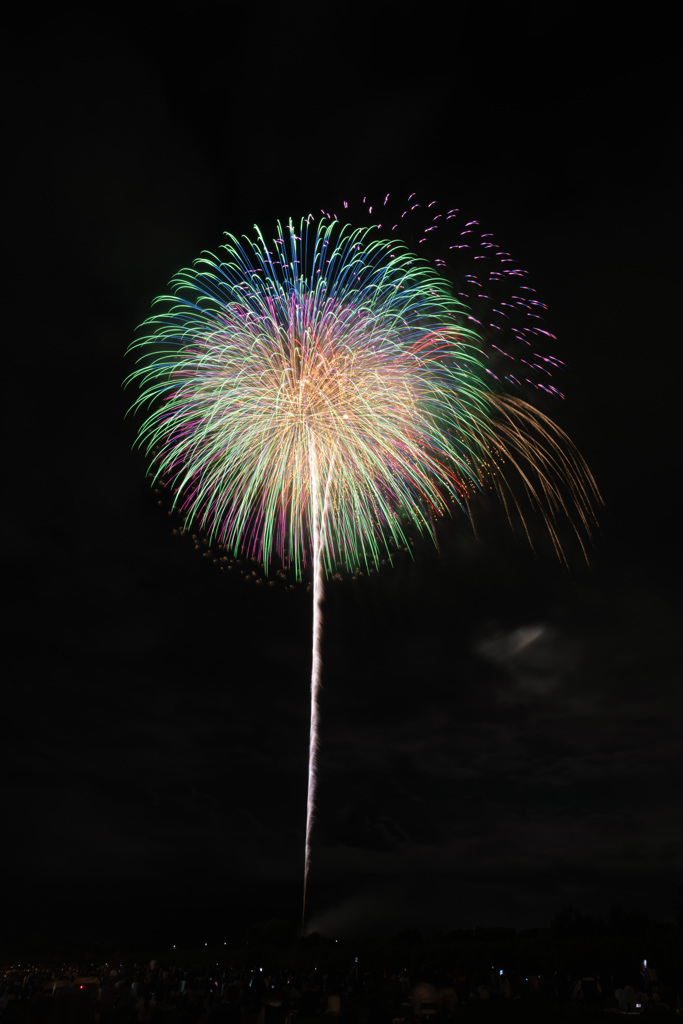 夏の夜に咲く花６９