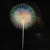夏の夜に咲く花６９