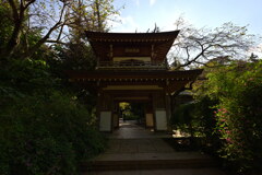 浄智寺2020初秋３