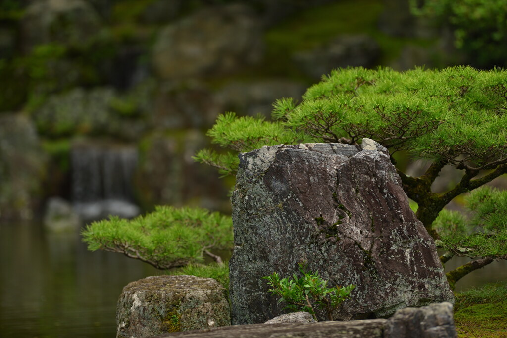 醍醐寺（三宝院庭園）２