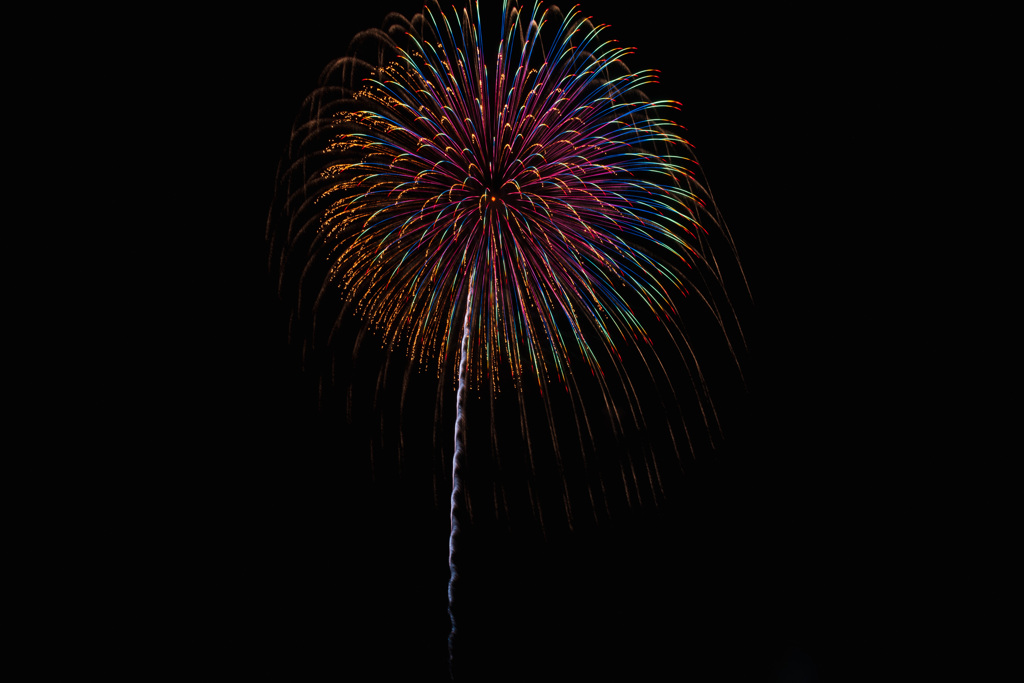 夏の夜に咲く花４３