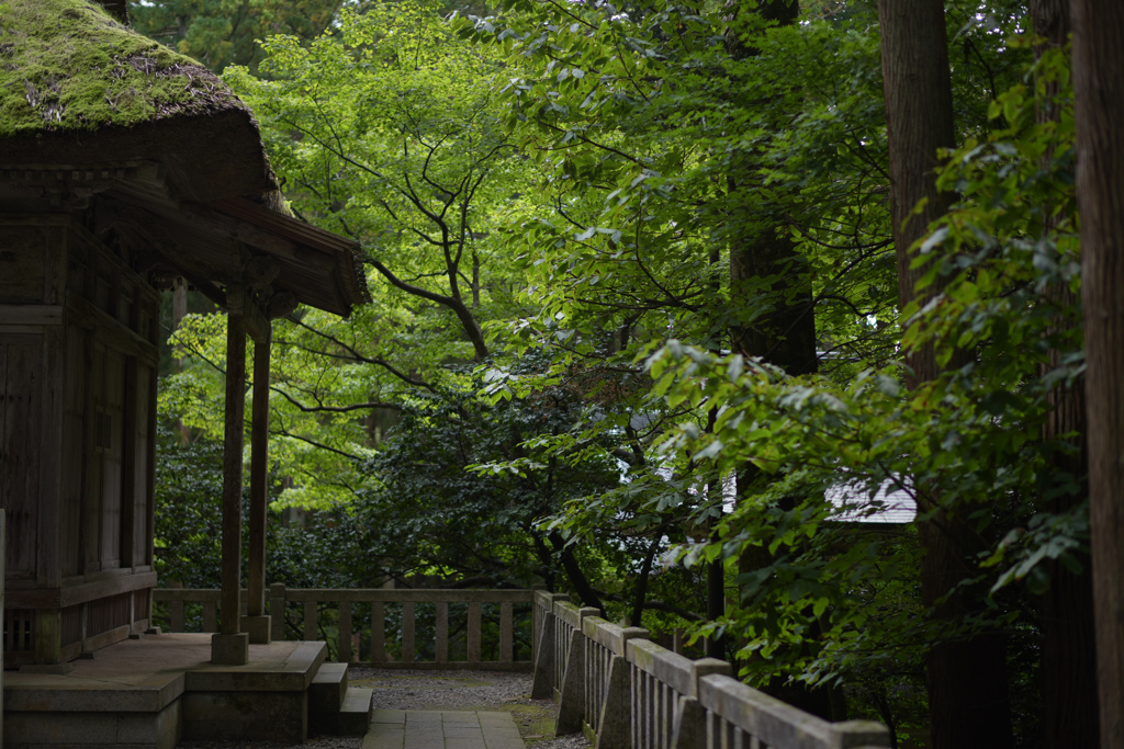 弥彦神社（末社十柱神社）