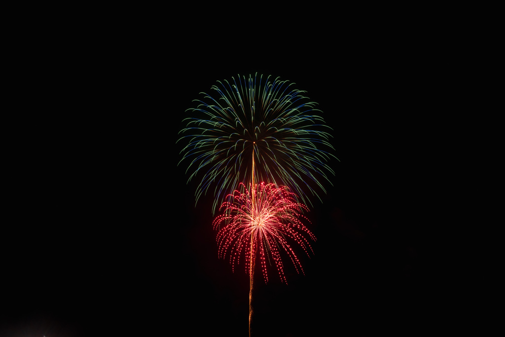 夏の夜に咲く花３２