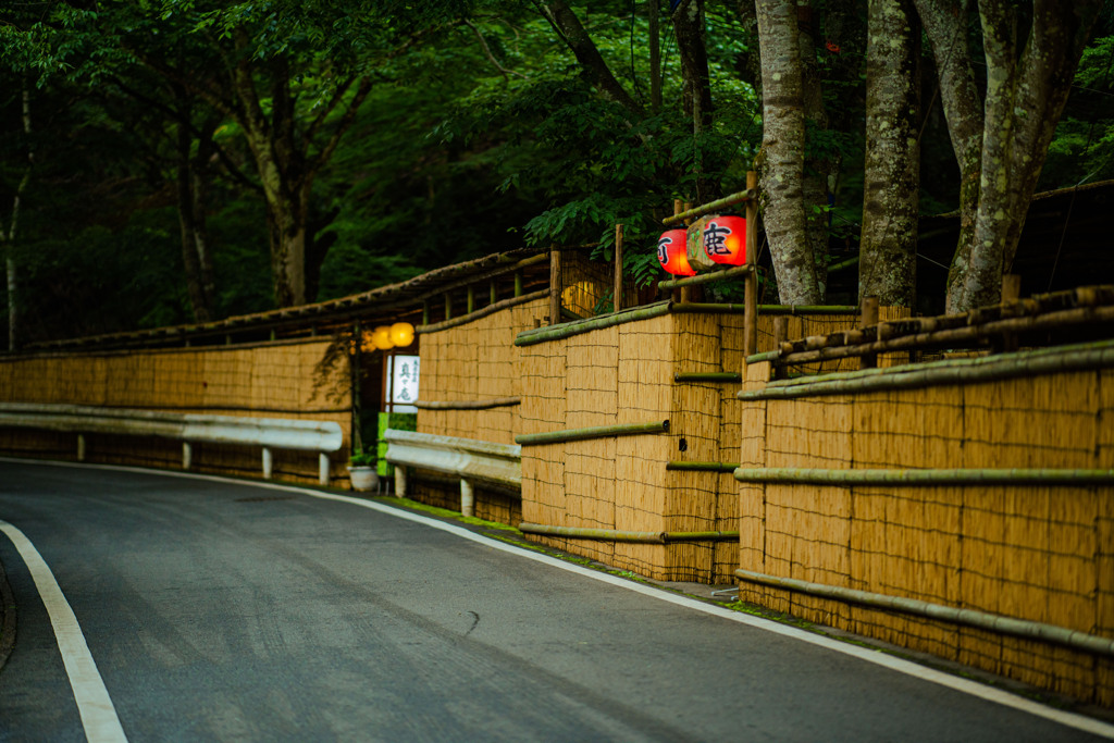 貴船川沿いの思い出