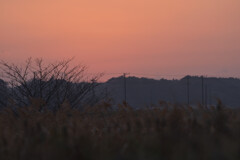 里の夕暮れ