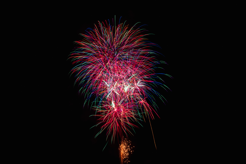 夏の夜に咲く花９