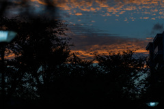 晩夏夕景３