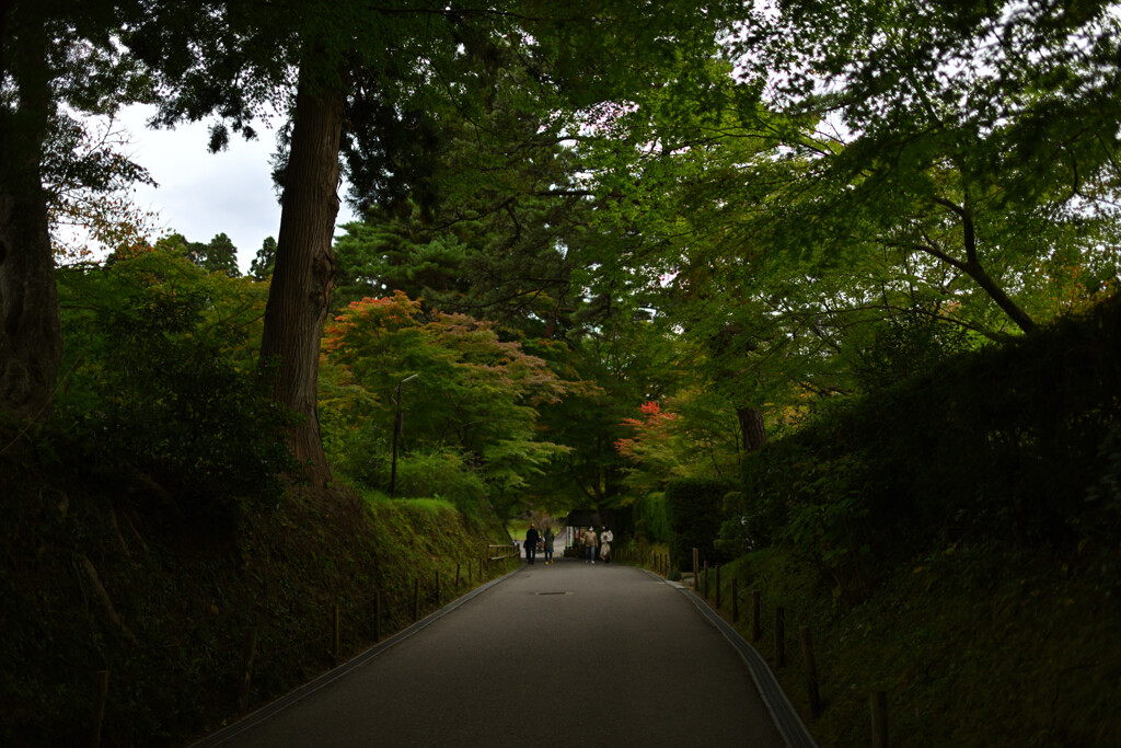 ・・・兵どもが夢の跡 2020秋１１