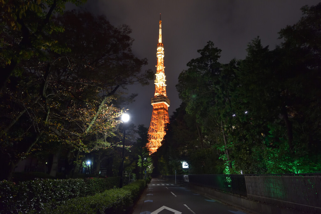 東京タワー2020秋