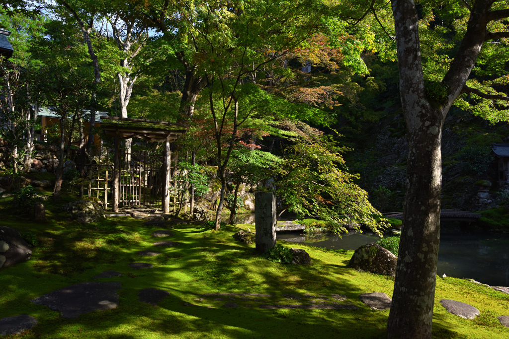 慈恩禅寺庭園 荎草園