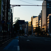 斜陽