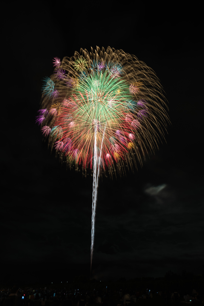 夏の夜に咲く花６８